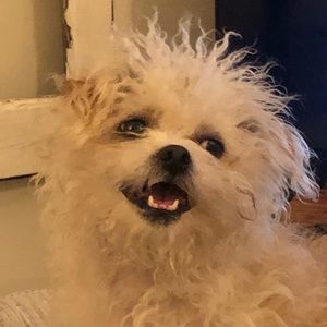 Meet your Posher, Matthew